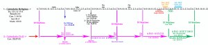 CalendarioRELCIV
