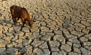 SequiaDrought