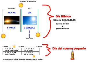 Diferencias entre el día bíblico y el día del cuerno pequeño.