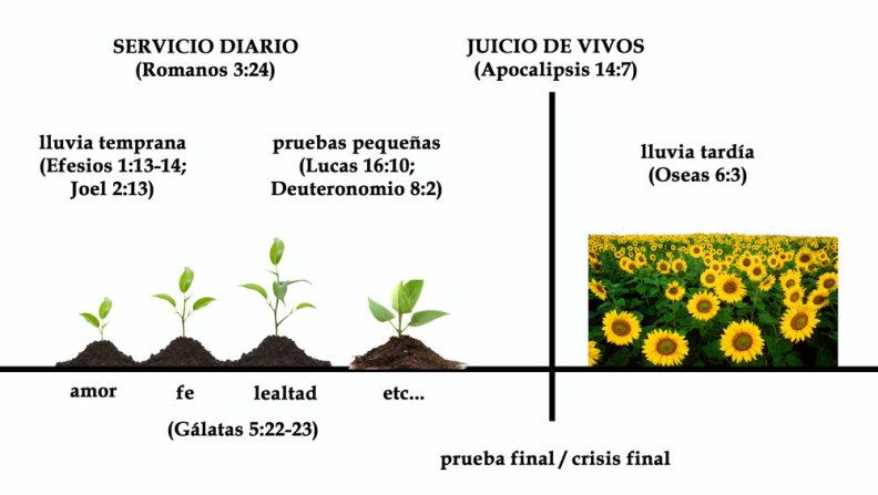 PlantasCelestiales